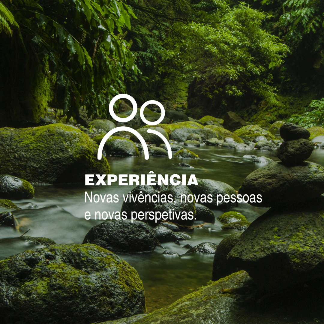 Ribeira entre pedras com musgo, com o texto «Experiência. Novas vivências, novas pessoas e novas perspetivas.»